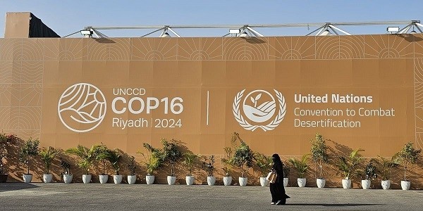 COP16 Panel Discussion on Forest Fire Prevention